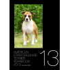 Amstaff year book 2013 !!!