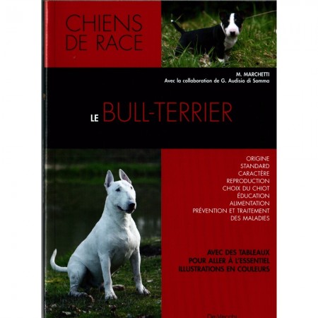 LE BULL TERRIER