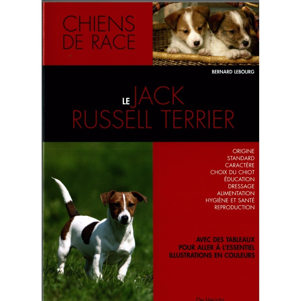 Plaque Attention Chien Jack Russel Terrier En Métal 29 X 20 Cm Env