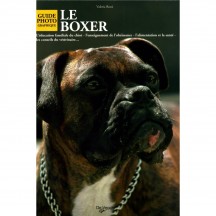 LE BOXER