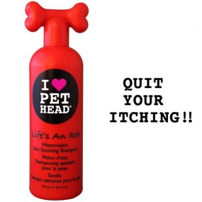 Shampooing Pet HeadLife s an itch