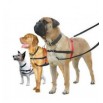 Harnais  HALTI pour chien  Compagny of animals