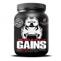 Muscle Bully Gains Mass gainer 45 jours 