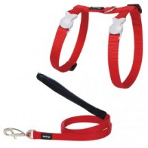 Ensemble Harnais Chat Rouge