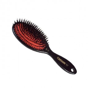 Brosse sanglier