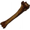 TIBIA DE BOEUF 