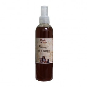 Vinaigre des 4 voleurs 250ml  - Floralpina