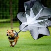 Parachute Resistance Training pour XVEST DOG