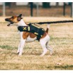 Elastique Resistance Training pour XVEST DOG