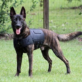 Gilet de poids Blackout XDOG V2.5