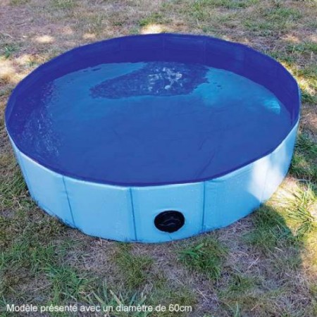 Piscine pour chien 