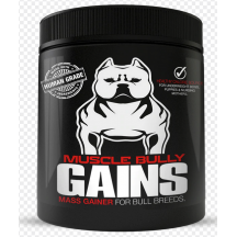 Muscle Bully Gains Mass gainer 90 jours 