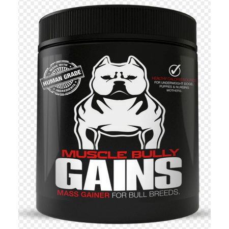 Muscle Bully Gains Mass gainer 90 jours 