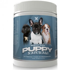 Muscle Bully Puppy naturals chew mvp