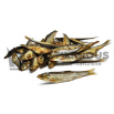 Sprats- Pet'Licious