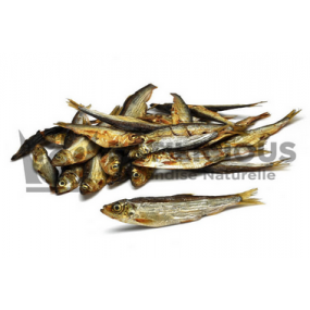 Sprats- Pet'Licious