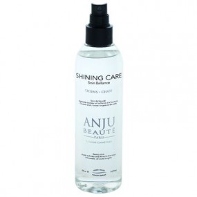 Shining care Anju beauté 500ML