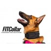 Collier lesté FIT COLLAR 