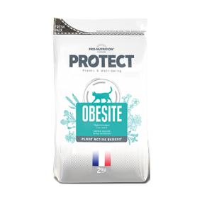 PROTECT Obesité Chat Adulte 2kg 