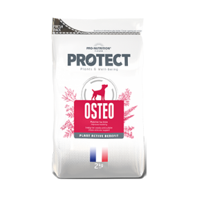 PROTECT Osteo Chien 12KG 