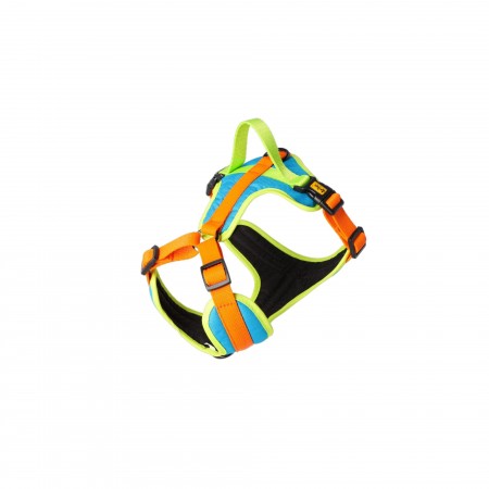 Harnais Sydney Taille XL bi color orange/ bleu 