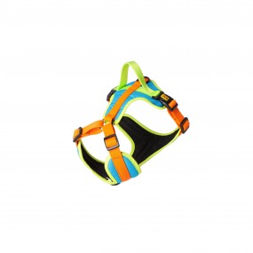Harnais Sydney Taille XL bi color orange/ bleu 