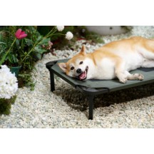 Matelas confort surélevé chien Taille M 