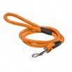 Laisse Walk Bobby Orange