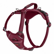Harnais Anatomy Halti Magenta