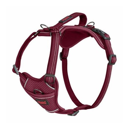 Harnais Anatomy Halti Magenta
