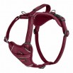 Harnais Anatomy Halti Magenta