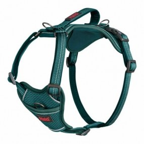 Harnais Anatomy Halti Vert