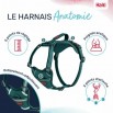 Harnais Anatomy Halti Vert