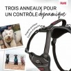 Harnais Anatomy Halti Gris 