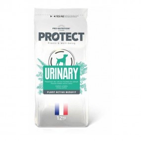 PROTECT Urinary Chien 12KG