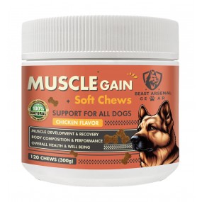 Complément alimentaire MUSCLE GAIN BEAST ARSENAL 