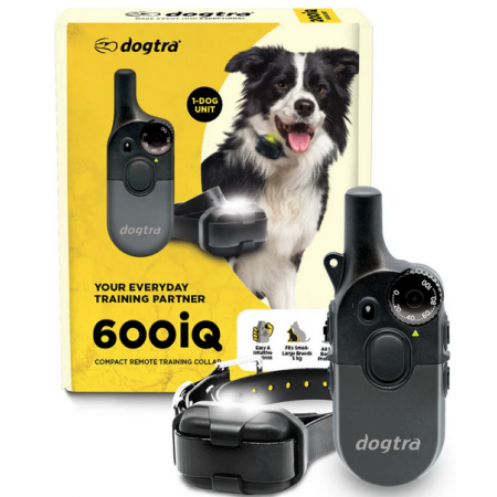  Collier dressage à distance  IQ 600  DOGTRA