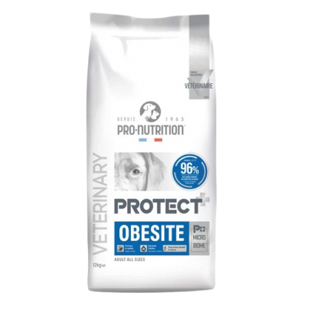 PROTECT OBESITE Chien 12KG