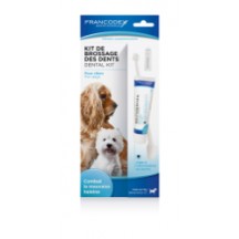 Kit de brossage des dents