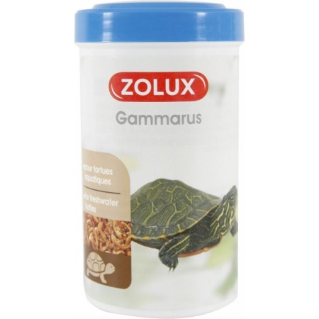 Zolux gammarus