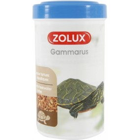 Zolux gammarus