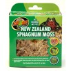 Mousse sphagnum 1.3L 